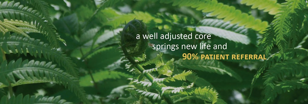 Well Adjusted: A Chiropractic Wellness Center | 4384 Clearwater Way #160, Lexington, KY 40515, USA | Phone: (859) 523-1915