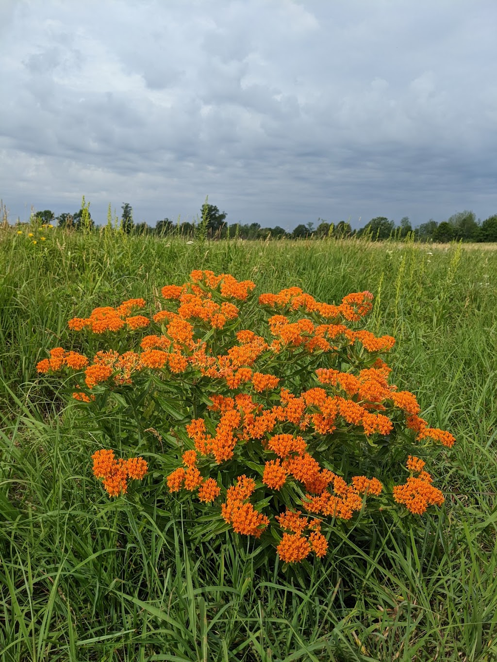 Sherburne National Wildlife Refuge | 17076 293rd Ave NW, Zimmerman, MN 55398, USA | Phone: (763) 389-3323