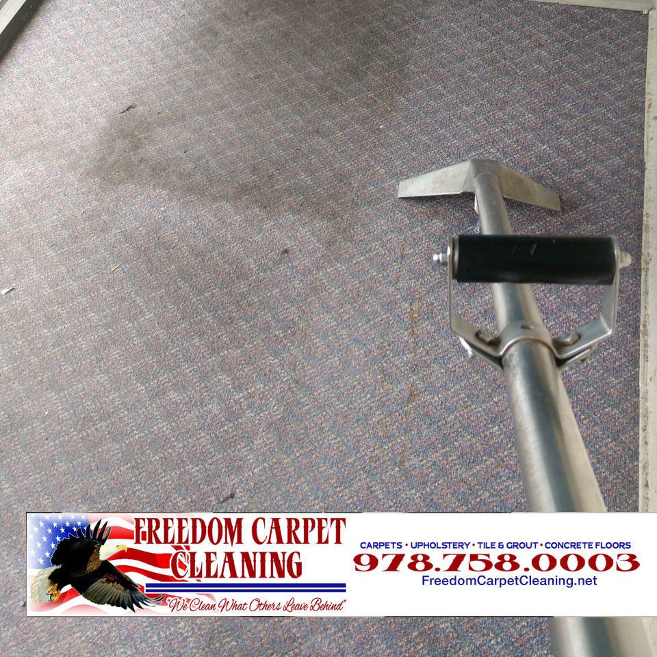 Freedom Carpet Cleaning | 17 Michigan Rd, Tyngsborough, MA 01879, USA | Phone: (978) 758-0003
