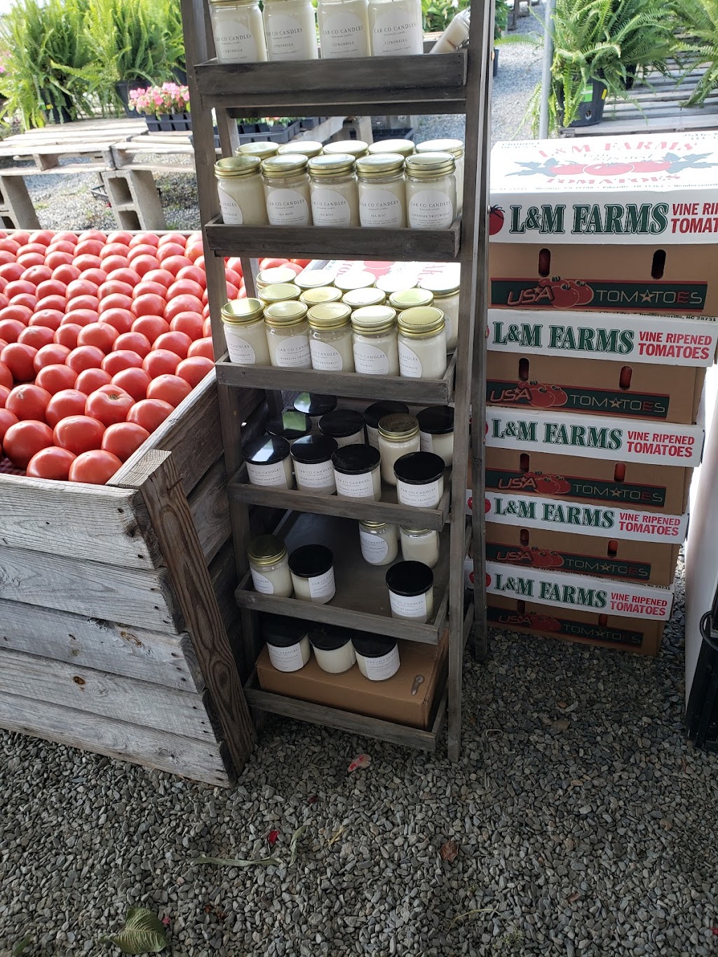 Farm Fresh Market | 9615 Bailey Rd, Cornelius, NC 28031, USA | Phone: (704) 933-6906