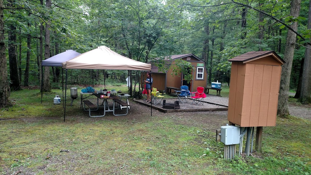 Benners Meadow Run Camping and Cabins | 315 Nelson Rd, Farmington, PA 15437, USA | Phone: (724) 329-4097