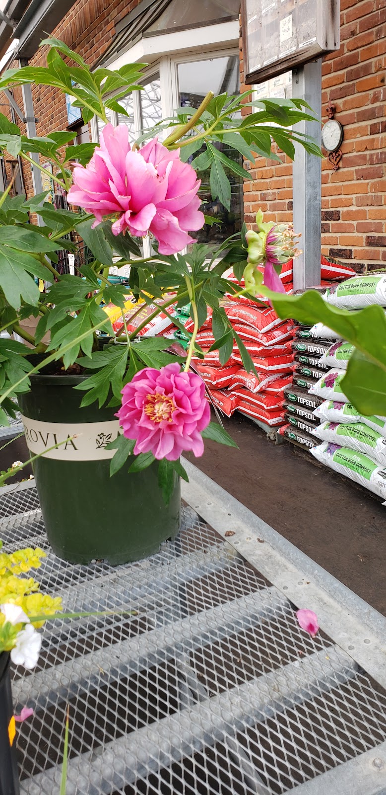 Timberwinds Nursery | 54 Clarkson Rd, Ellisville, MO 63011, USA | Phone: (636) 227-0095