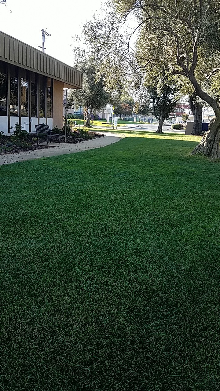 Resurrection Lutheran Church | 2495 Cabrillo Ave, Santa Clara, CA 95051, USA | Phone: (408) 241-2728