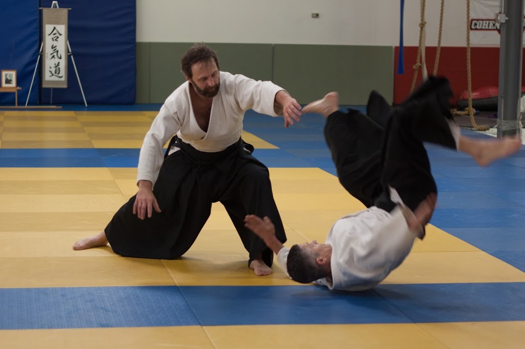 Great Lakes Aikido | 150 N Fairway Dr Ste 156, Vernon Hills, IL 60061, USA | Phone: (224) 764-1264