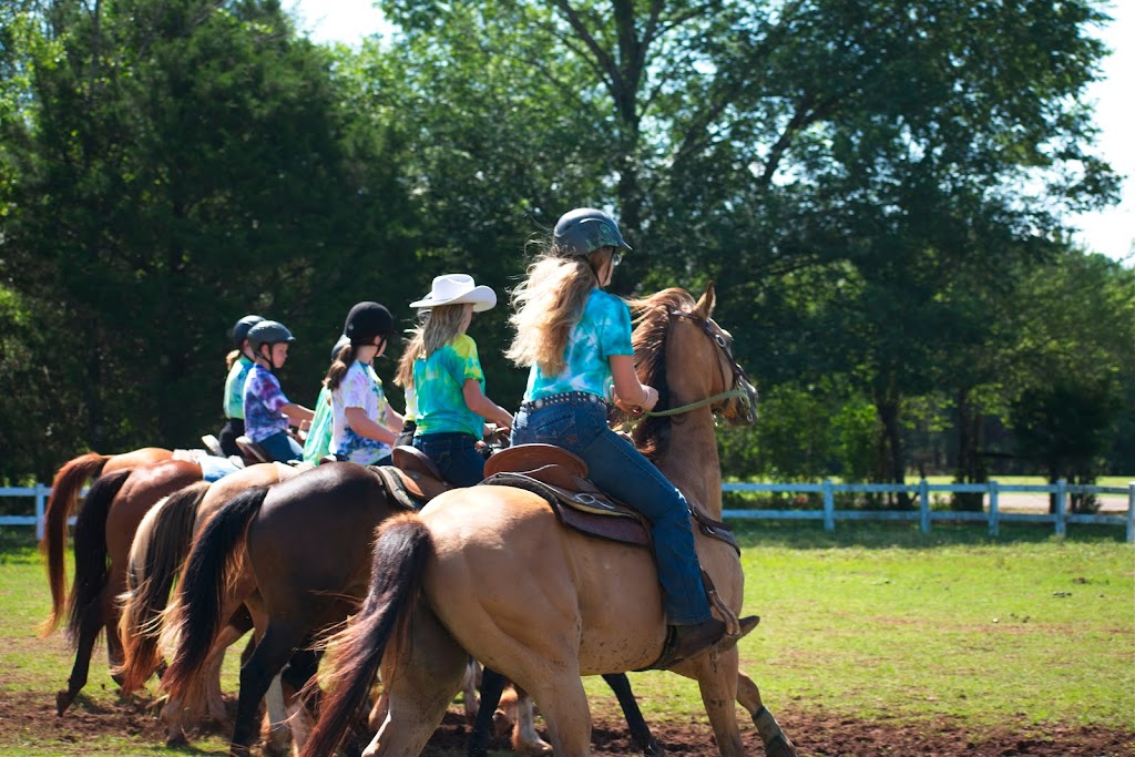 Carousel O Breeds | 95 Albright Farm Rd, Montevallo, AL 35115, USA | Phone: (205) 533-0432