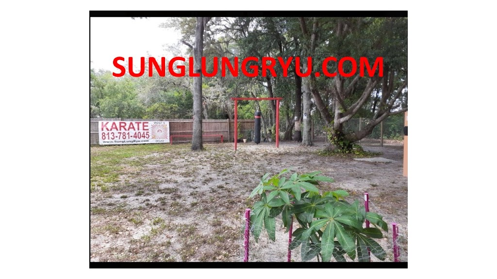 Sung Lung Ryu Int Karate/Kabuto | 5250 Parker St, Zephyrhills, FL 33542, USA | Phone: (727) 900-5286