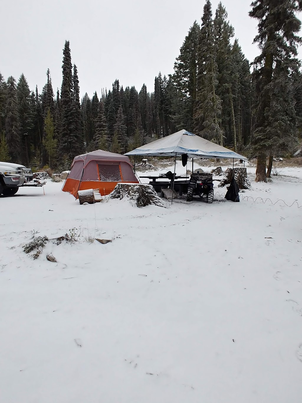 Bald Mountain Campground | Boise National Forest, Forest Road #203N, Boise, ID 83716, USA | Phone: (208) 373-4100