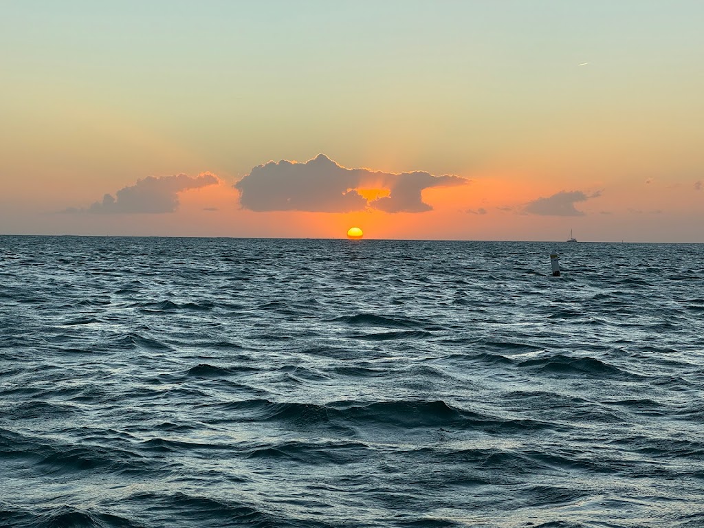 Family Fun Snorkeling, Sandbar, Ecotours, Sunset Cruise, Boat Tours | 85920 Overseas Hwy, Islamorada, FL 33036, USA | Phone: (305) 896-2915