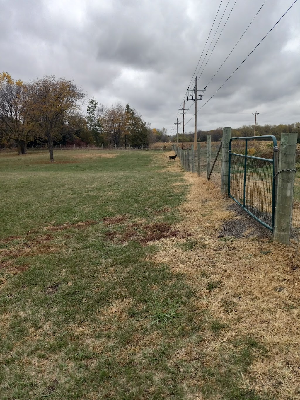 Seward Community Dog Park | 920 E Seward St, Seward, NE 68434, USA | Phone: (402) 643-4000