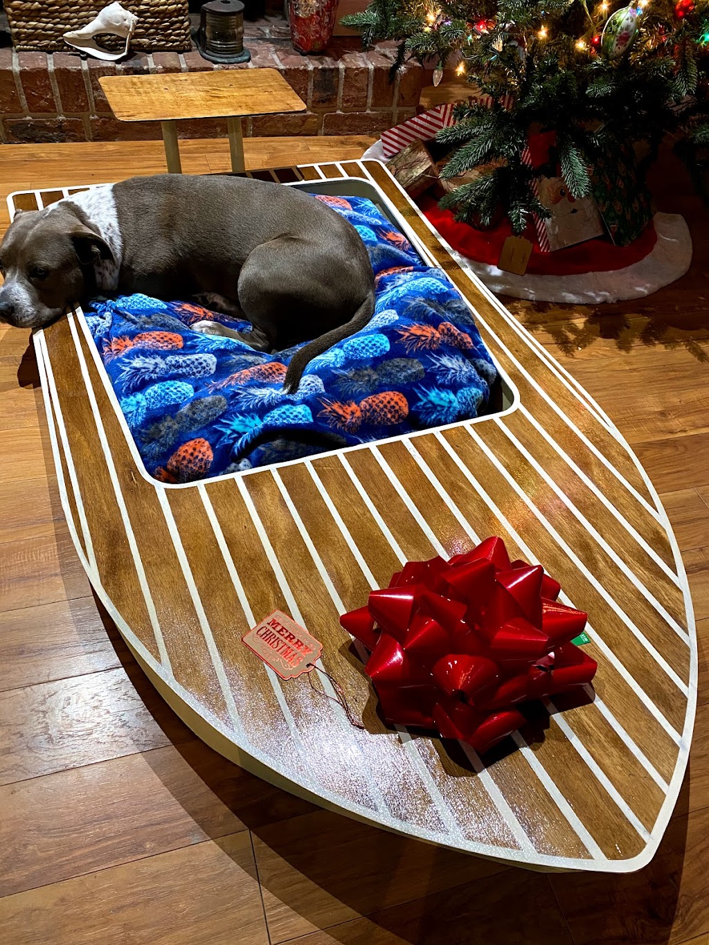 Nauti dog beds | 1020 E DeCarlo Dr, Deltona, FL 32725, USA | Phone: (386) 747-8883