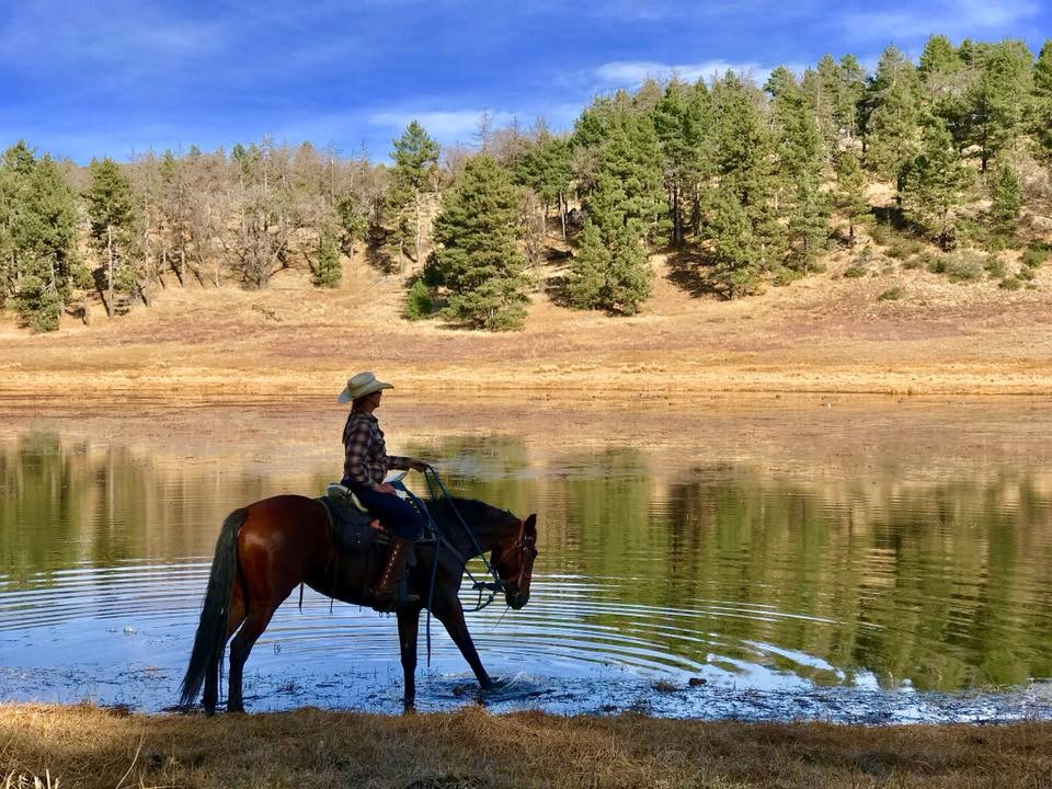 San Diego Horse Trail Riding | 404 Box, Pine Valley, CA 91962, USA | Phone: (619) 831-2793