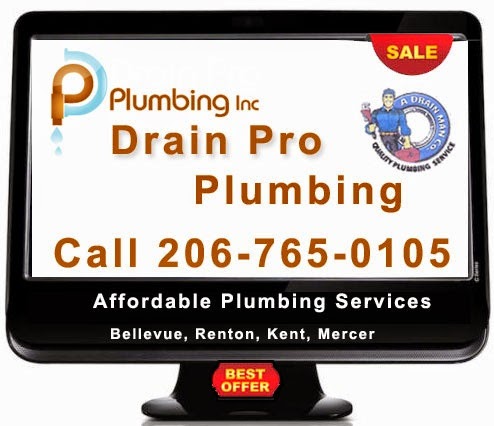 Drain Pro Plumbing Inc | 12219 Military Rd S, Seattle, WA 98168, USA | Phone: (253) 236-5000