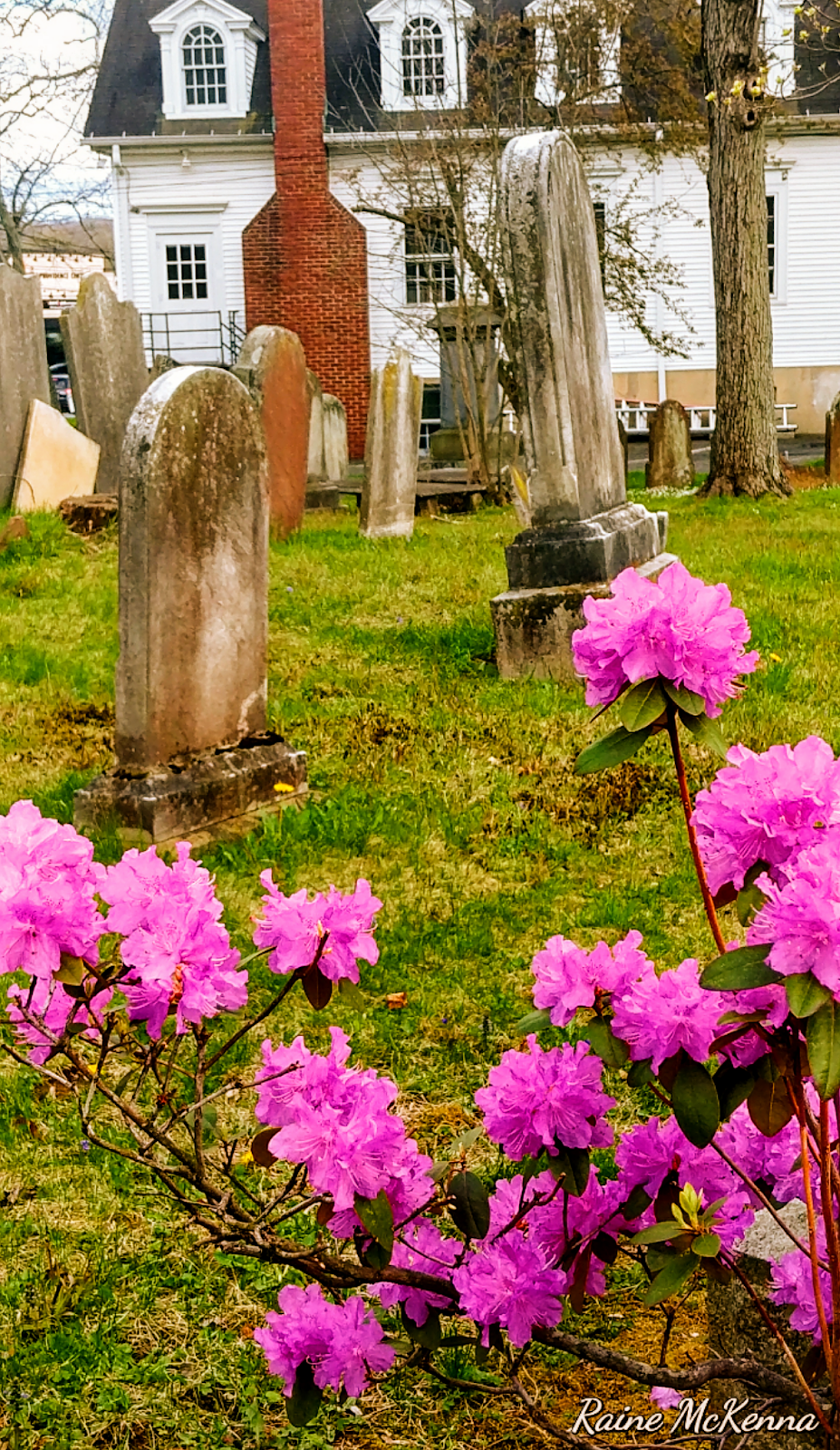Presbyterian Church Cemetery | 1307 Springfield Ave, New Providence, NJ 07974, USA | Phone: (908) 665-0075
