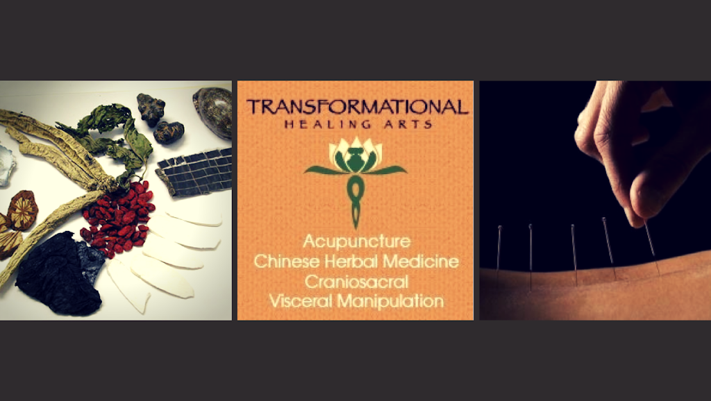 Transformational Healing Arts | 2103 S Wadsworth Blvd #5, Lakewood, CO 80227, USA | Phone: (303) 587-3182