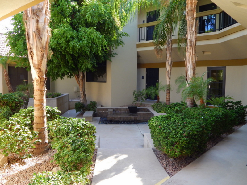 R.O.I. Properties | 2425 E Camelback Rd Suite 150, Phoenix, AZ 85016, USA | Phone: (602) 319-1326 R.O.I. Properties | 2425 E Camelback Rd Suite 150, Phoenix, AZ 85016, USA | Phone: (602) 319-1326