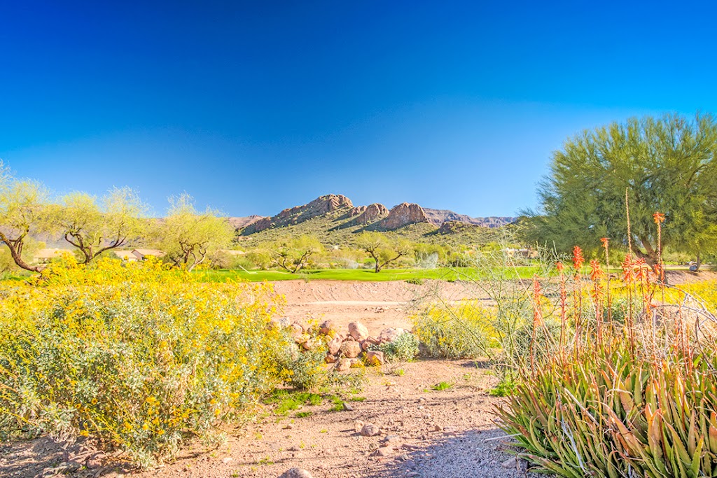 LORI BLANK & ASSOCIATES, LLC - Real Estate | 6140 S Kings Ranch Rd, Gold Canyon, AZ 85118, USA | Phone: (480) 983-8383