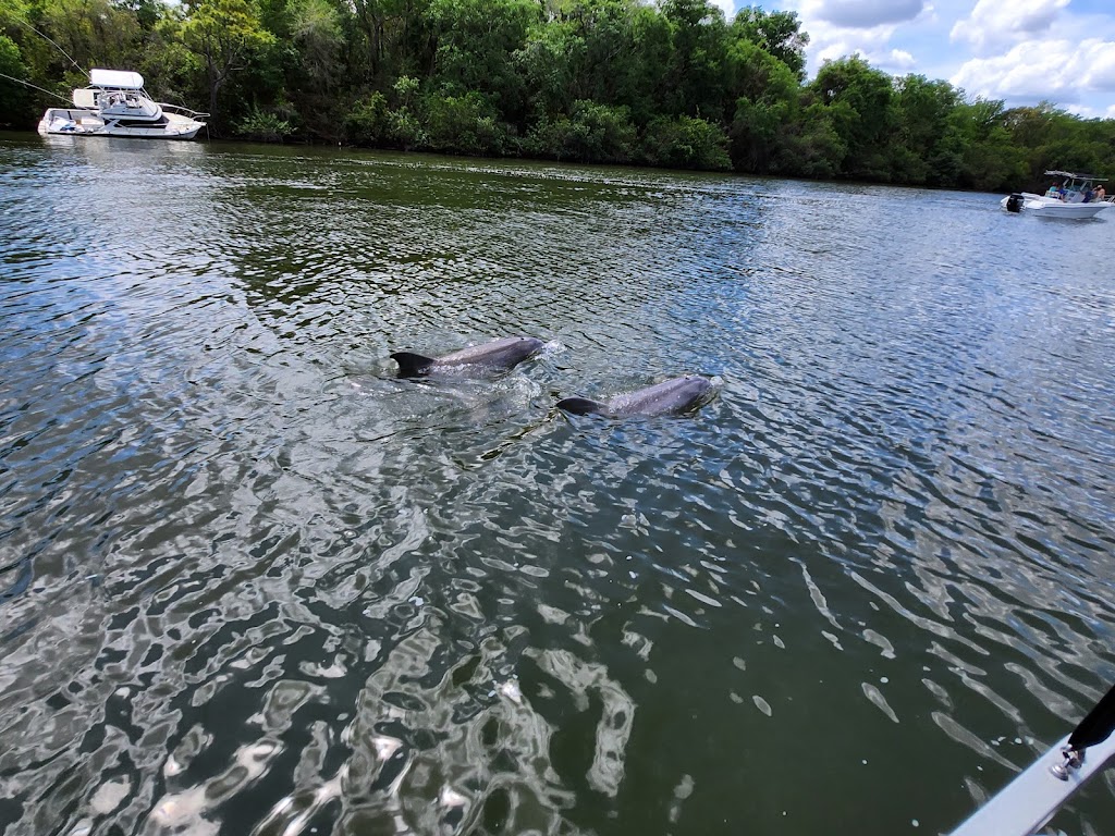 Cape Crossing Boat Rentals | 306 Lagoon Way, Merritt Island, FL 32953, USA | Phone: (321) 877-5083