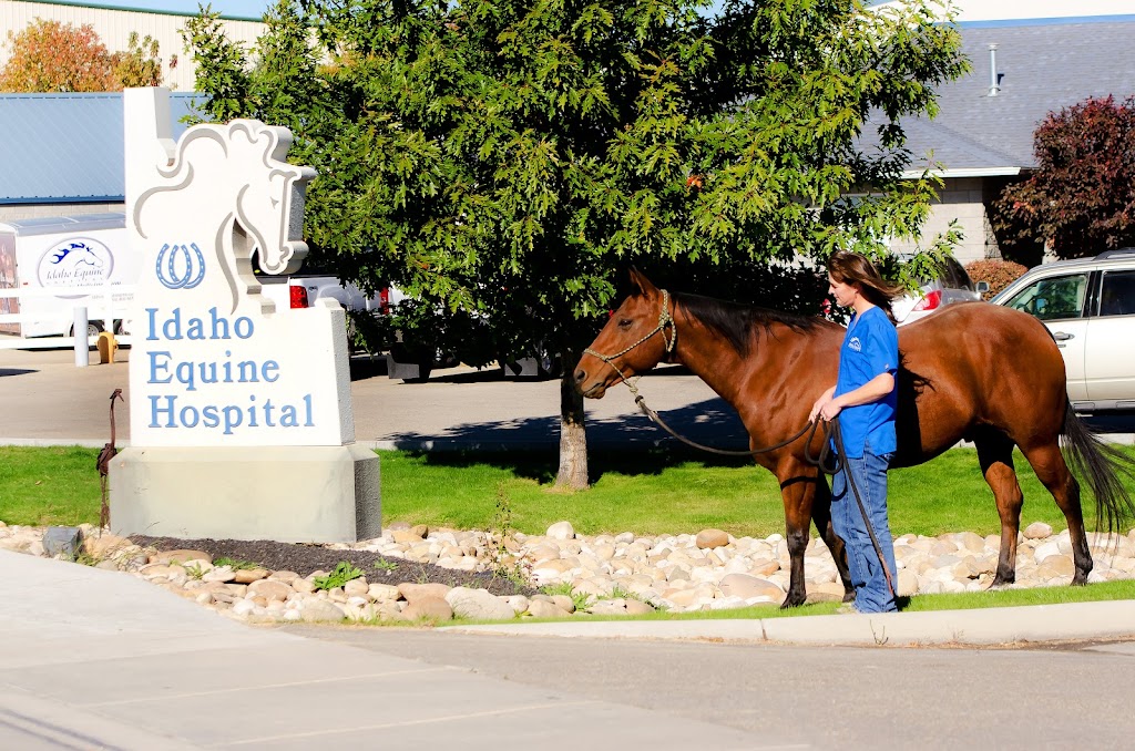 Idaho Equine Hospital | 16080 Equine Dr, Nampa, ID 83687, USA | Phone: (208) 466-4613