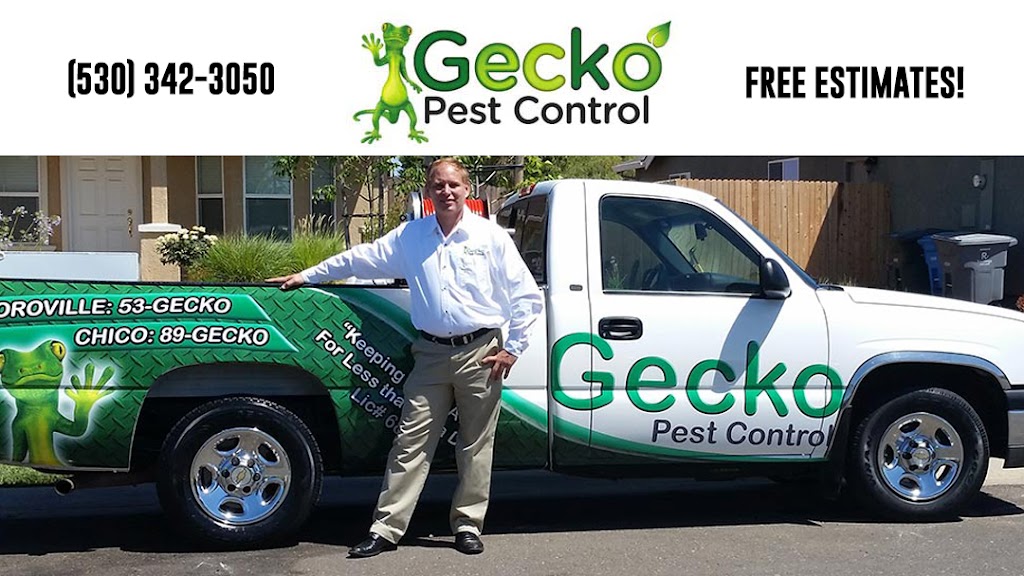 Gecko Pest Control | 89 Lincoln Blvd, Lincoln, CA 95648, USA | Phone: (916) 434-7378