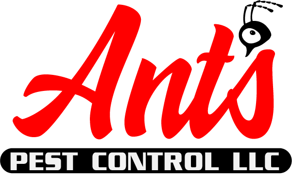 Ants Pest Control LLC | 9325 St Regis Ln, Port Richey, FL 34668, USA | Phone: (727) 777-2614