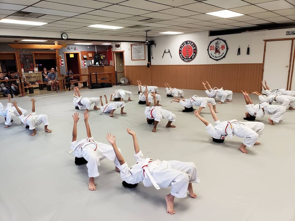 Ucelo Martial Arts Phoenix | 3, 8021 N 43rd Ave 1B, 2, Phoenix, AZ 85051, USA | Phone: (623) 570-1370