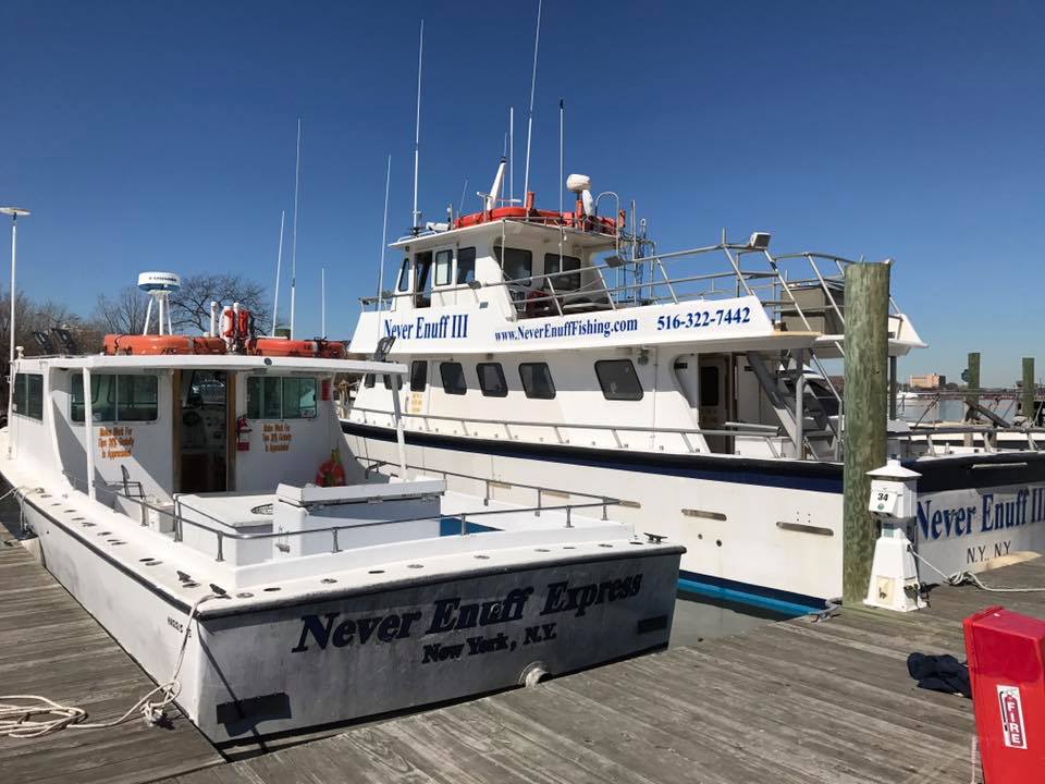 Never Enuff Fishing | 1 Worlds Fair Marina, Flushing, NY 11368, USA | Phone: (516) 322-7442