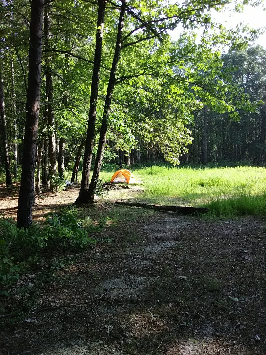 East Morris Mountain Campground | Troy, NC 27371, USA | Phone: (910) 576-6391