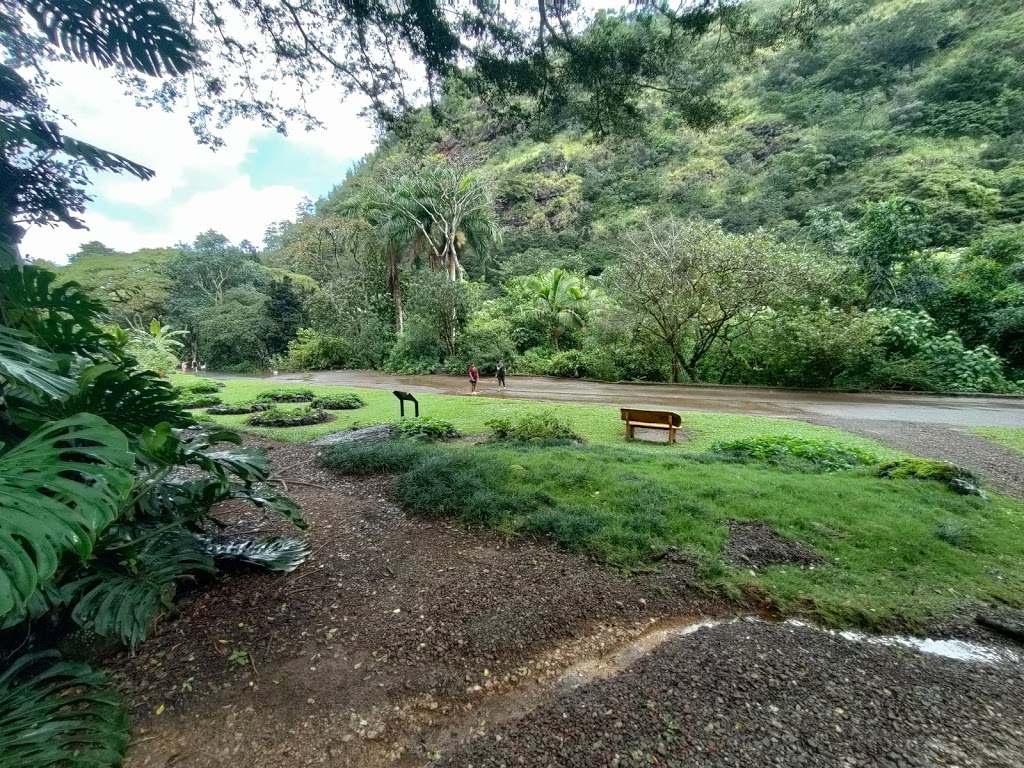 Waimea Botanical Garden | 59-864 Kamehameha Hwy, Haleiwa, HI 96712, USA | Phone: (808) 638-7766 Waimea Botanical Garden | 59-864 Kamehameha Hwy, Haleiwa, HI 96712, USA | Phone: (808) 638-7766