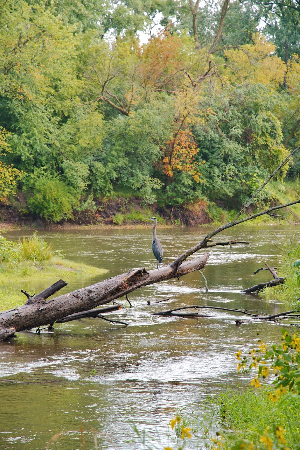 Cowling Arboretum | MN-19, Northfield, MN 55057, USA | Phone: (507) 222-4543