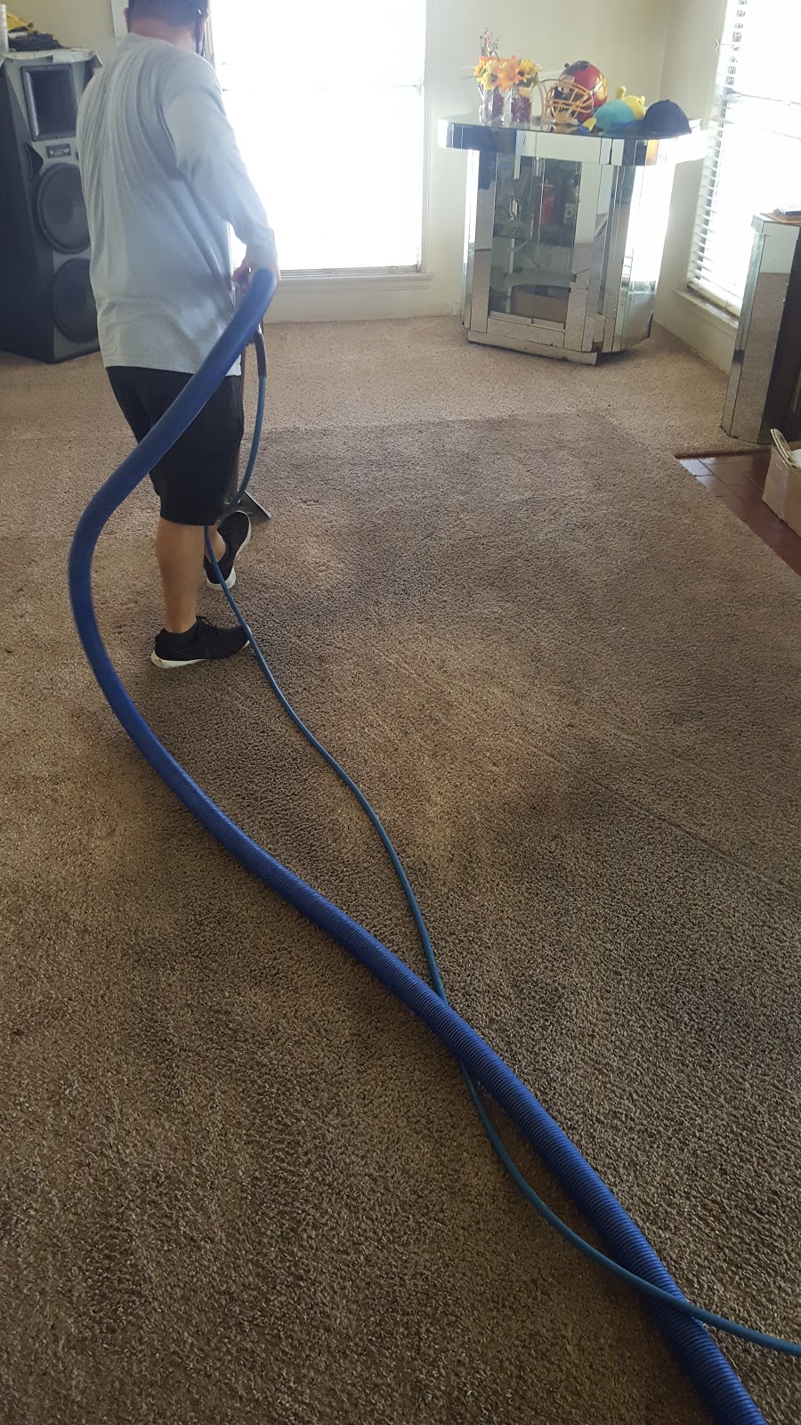 Green master carpet care | Los Angeles, CA 90035, USA | Phone: (424) 249-9803