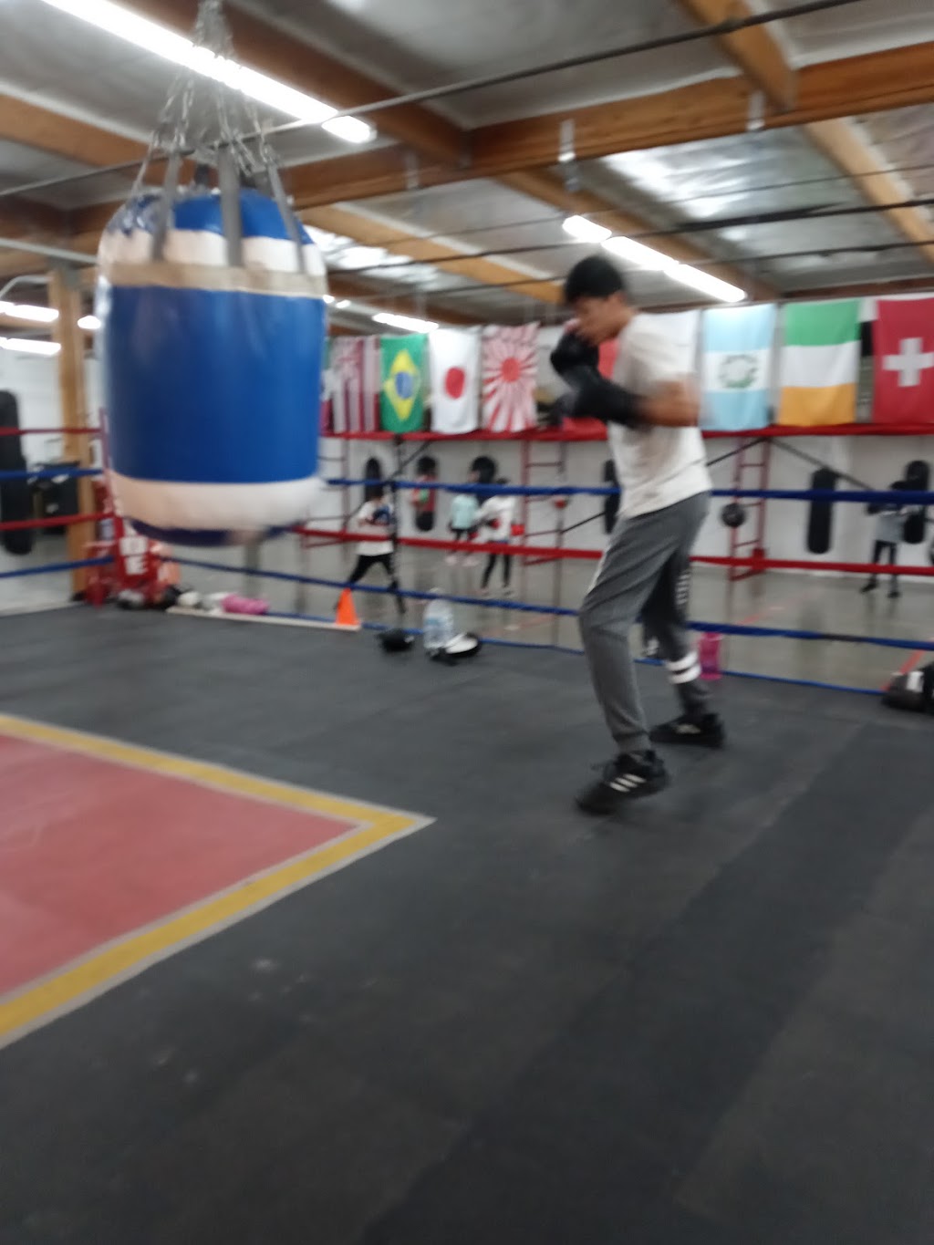 Tazmainian Boxing Club | 3737 N Carson St, Carson City, NV 89706, USA | Phone: (775) 722-1752