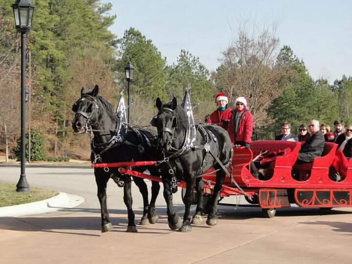 Gold Leaf Carriage | 1520 Weslyn Springs Way, Fuquay-Varina, NC 27526, USA | Phone: (919) 614-5306