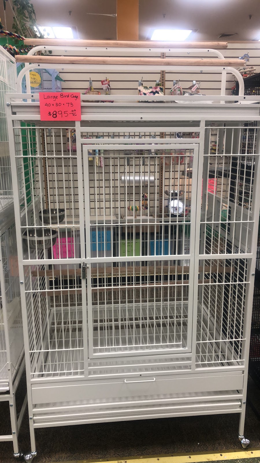 Morning Glory Birds | 3041 Hempstead Tpke, Levittown, NY 11756, USA | Phone: (516) 972-3860