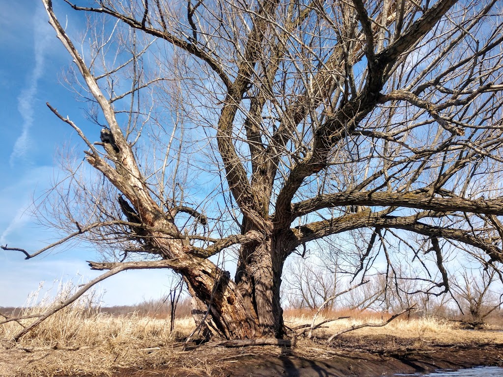 Waterloo Prairie State Natural Area | W8288 Blue Joint Rd, Waterloo, WI 53594, USA | Phone: (608) 266-0394