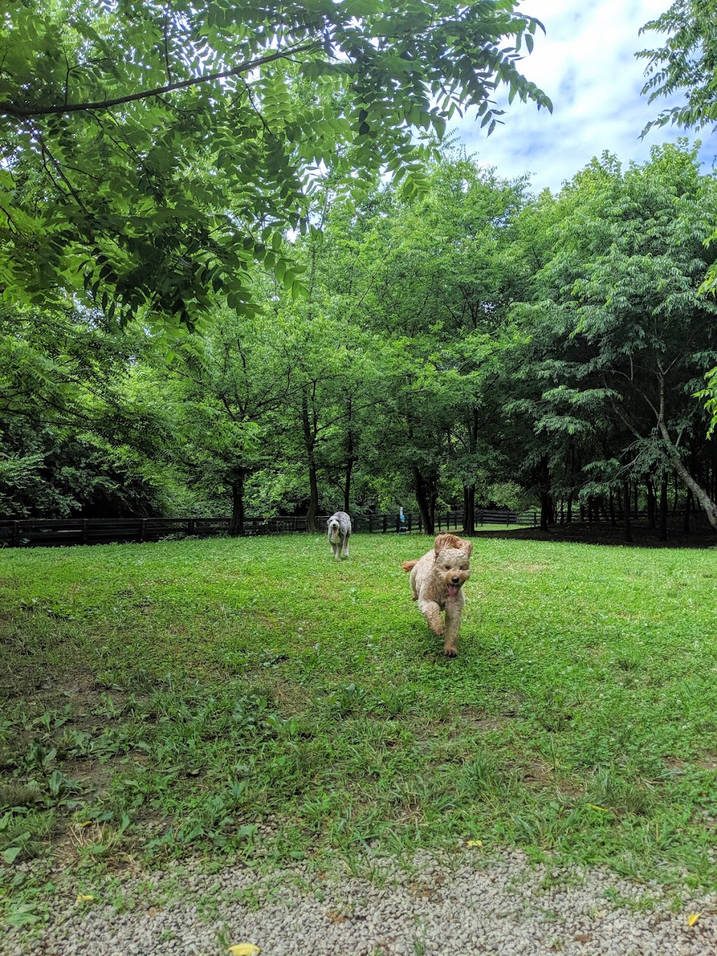 Nutro Dog Park | 4441 Columbia Pike, Thompsons Station, TN 37179, USA | Phone: (615) 794-4333