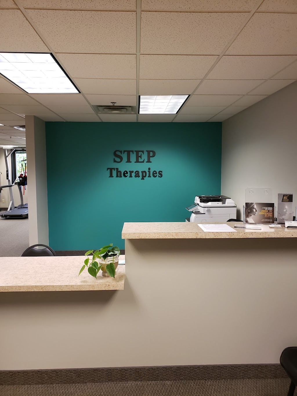 STEP Therapies, Inc. | 750 2nd St NE #106, Hopkins, MN 55343 | Phone: (651) 766-0080