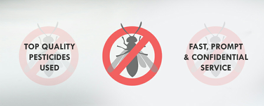 Hillcrest Pest Control llc | Oakton Cir, Mayfield Village, OH 44143 | Phone: (216) 570-7129