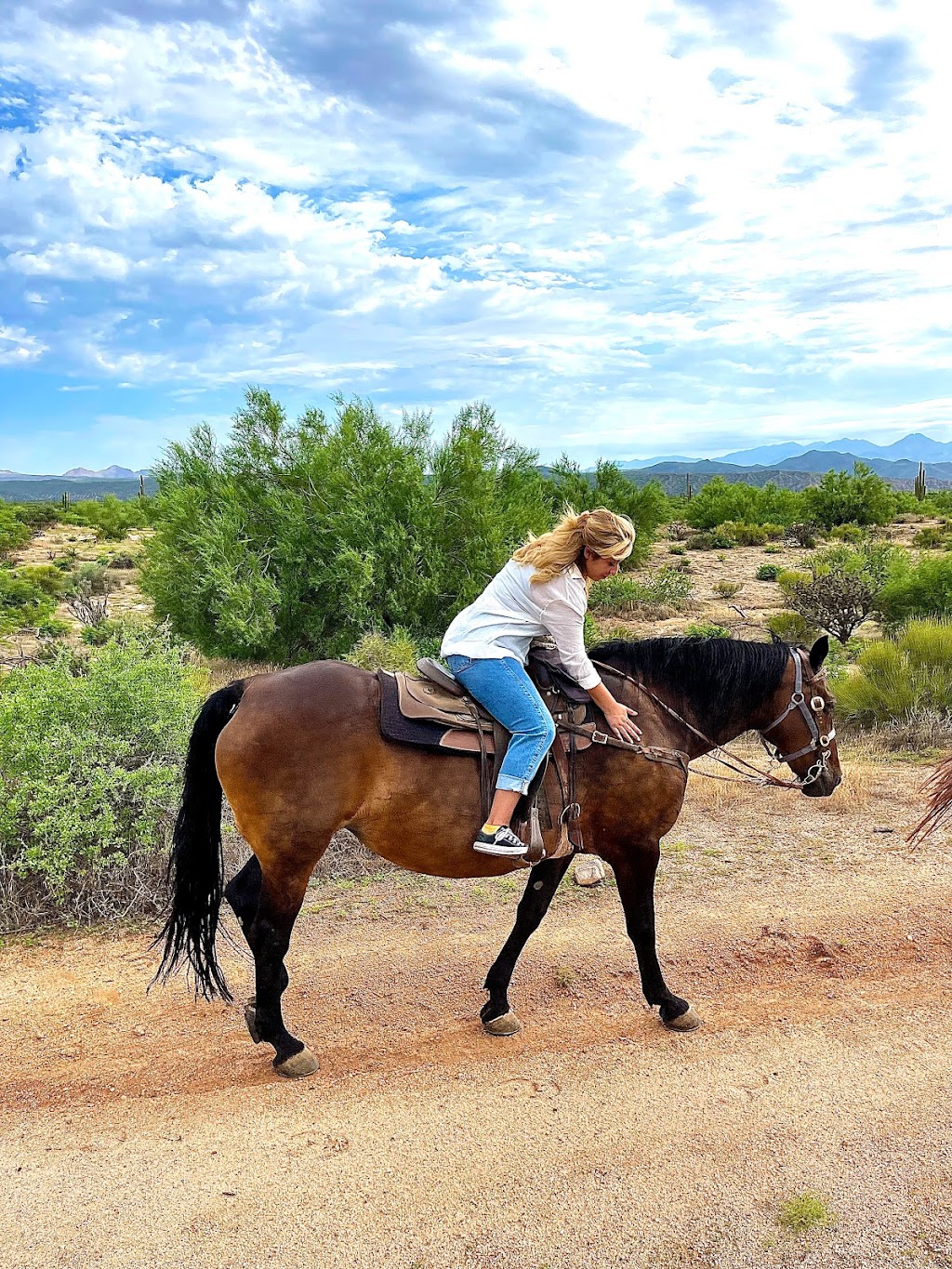 Cave Creek Outfitters | 31313 N 144th St, Scottsdale, AZ 85262, USA | Phone: (480) 471-4635