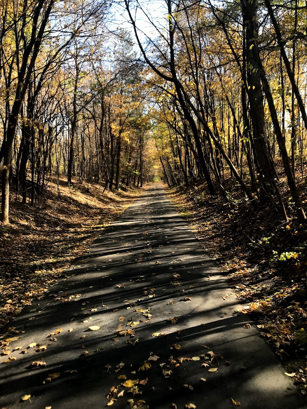 Lake Rebecca Park Reserve | 9831 Rebecca Park Trail, Rockford, MN 55373, USA | Phone: (763) 694-7860