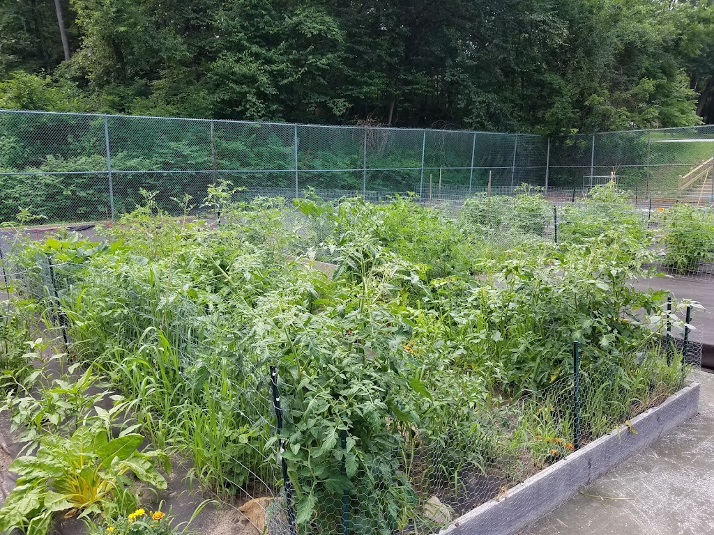 Mount Arlington Community Garden | Mt Arlington, NJ 07856, USA | Phone: (973) 398-6832 ext. 200