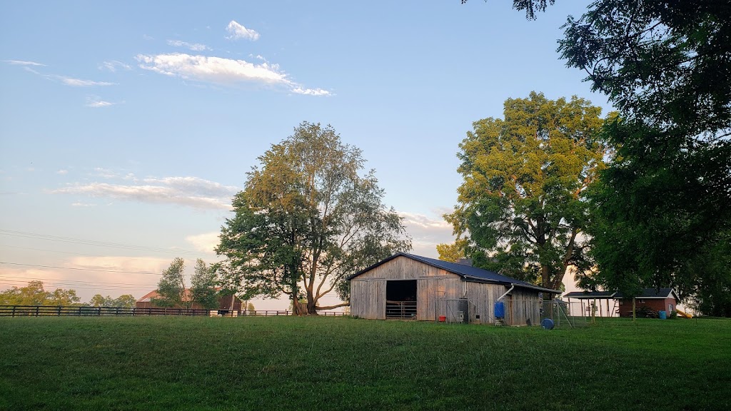 Great Crossings Farm | 1372 Stamping Ground Rd, Georgetown, KY 40324, USA | Phone: (765) 215-6557