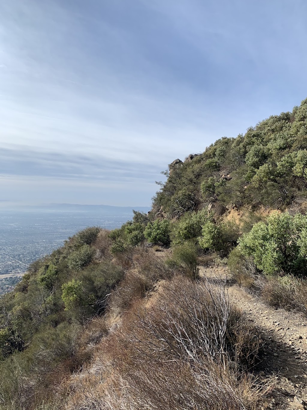 Cucamonga Wilderness | W Cucamonga Truck Trail, Lytle Creek, CA 92358, USA | Phone: (909) 382-2851