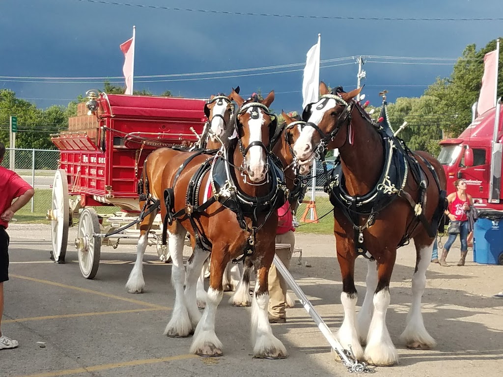 Monroe County Fair Association | 3775 S Custer Rd, Monroe, MI 48161, USA | Phone: (734) 241-5775