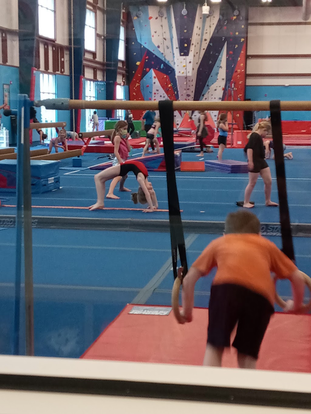 Metro Stars Gymnastics | 3706 203rd St, Omaha, NE 68130, USA | Phone: (402) 991-5700