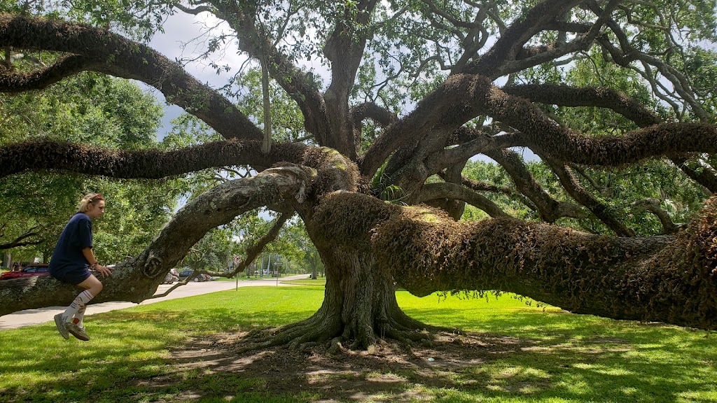 Couturie Forest | 1009 Harrison Ave, New Orleans, LA 70124, USA | Phone: (504) 483-9376