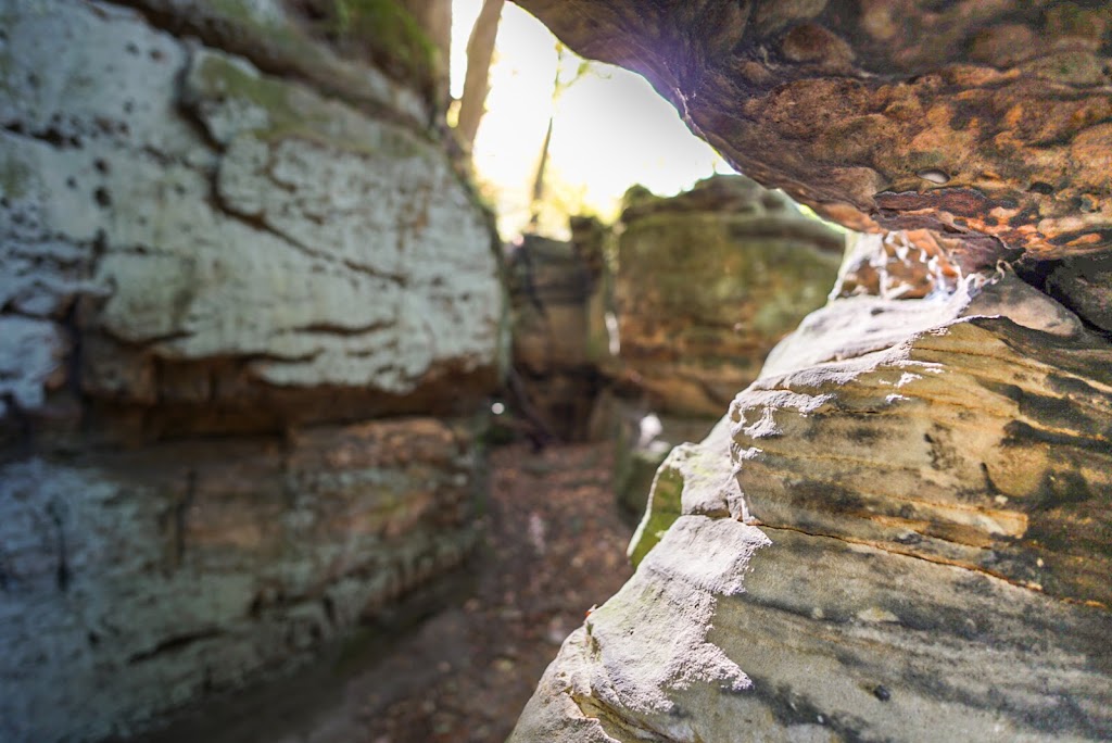 Whipps Ledges | Hinckley Lake Loop Trail, Hinckley, OH 44233, USA | Phone: (330) 278-2160