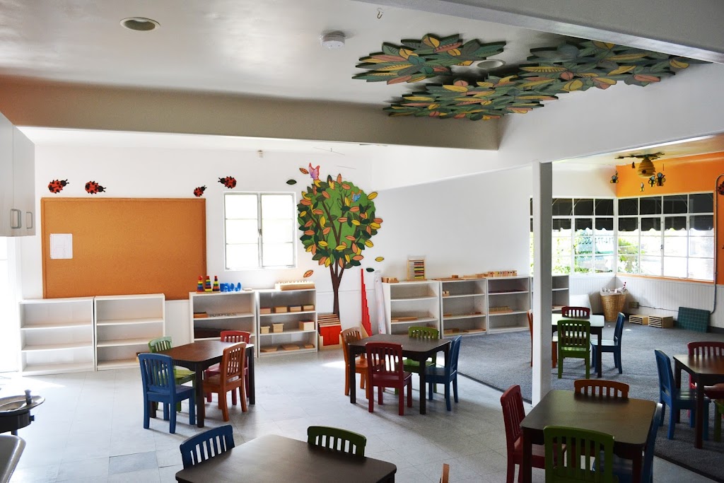 Wonderland Montessori & Preschool of Anaheim | 624 N Anaheim Blvd, Anaheim, CA 92805, USA | Phone: (714) 774-5330