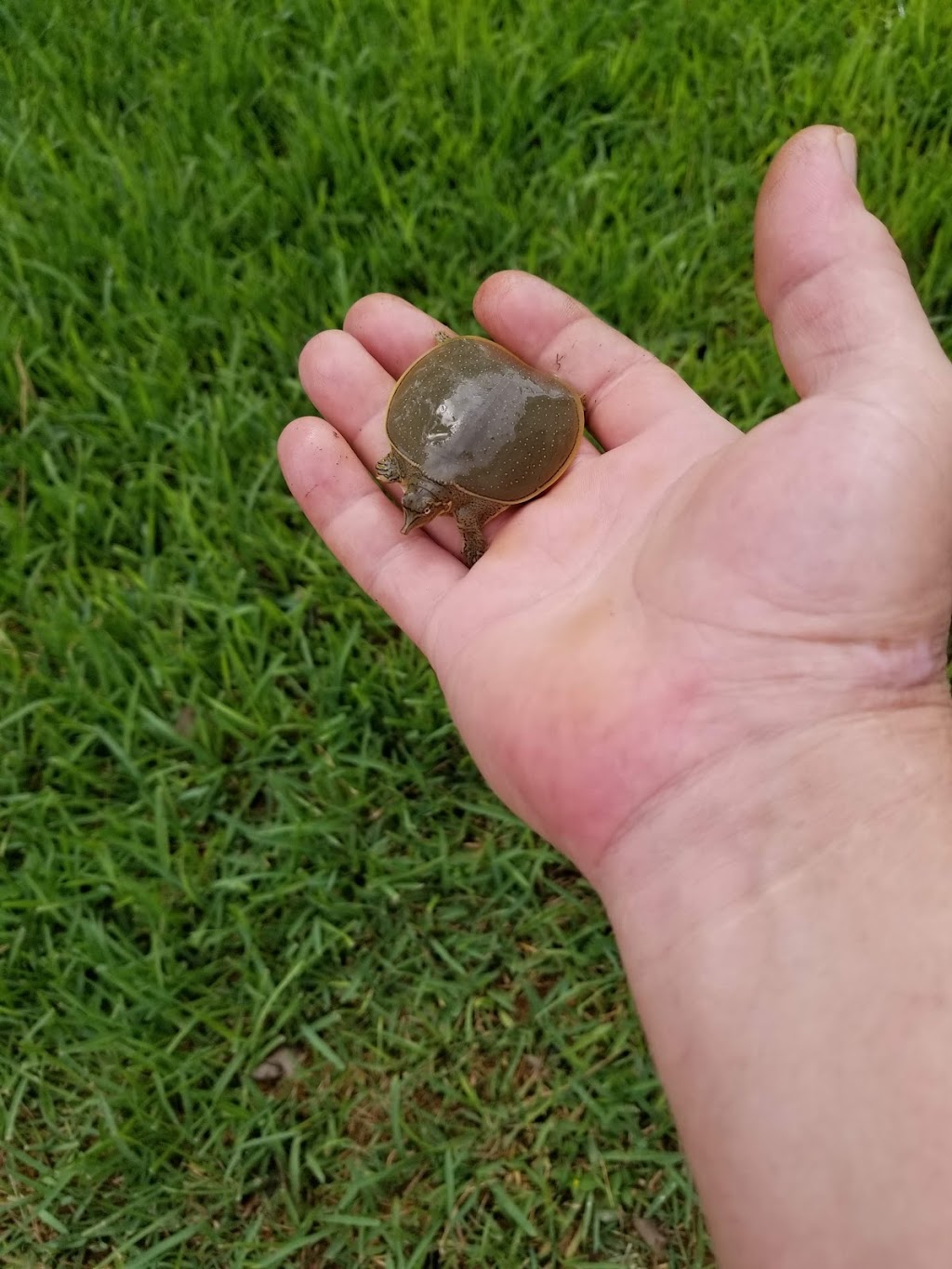 Gateway Manufactured Housing Community | 1545 N Lexington Blvd, Corpus Christi, TX 78409, USA | Phone: (361) 289-1191