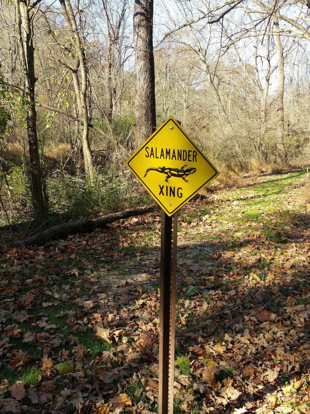 Salamander Park | 333 Fox Chapel Rd, Pittsburgh, PA 15238, USA | Phone: (855) 494-3345