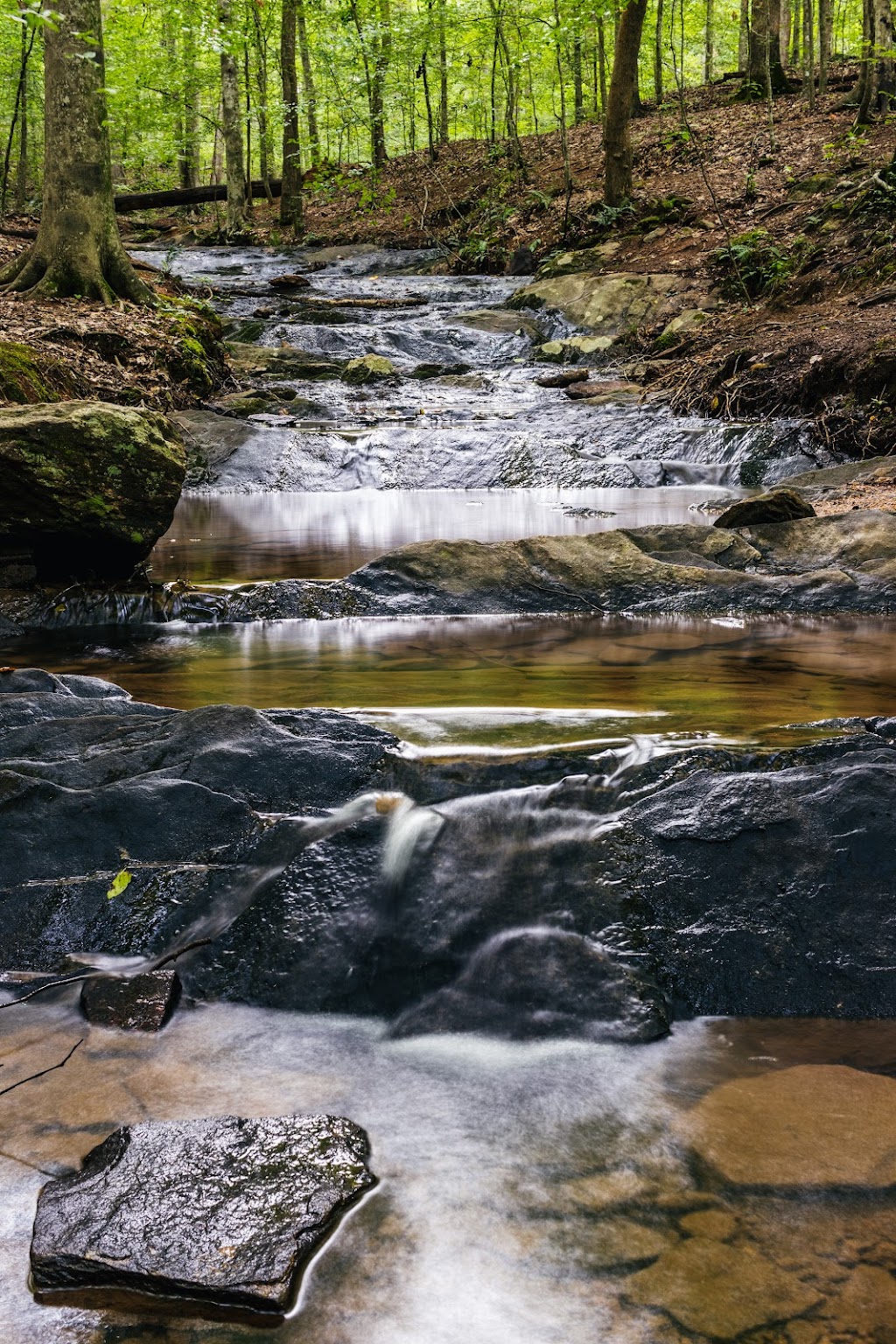 Hickory Trails Park | 3884 Hickory Rd, Canton, GA 30115, USA | Phone: (770) 924-7768